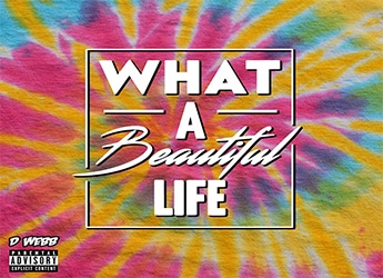 D WEBB - What A Beautiful Life