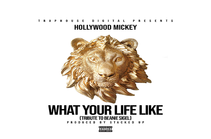 Hollywood Mickey - What Your Life Like
