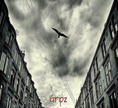 Gripz - Birds Eye View (prod. by The Cratez)