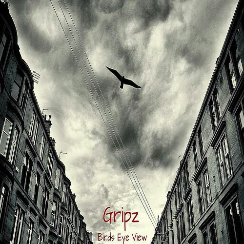 Gripz - Birds Eye View (prod. by The Cratez)