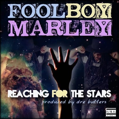 Fool Boy Marley - Reaching For The Stars