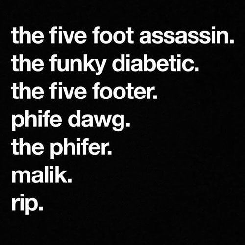 The Five Footer - A Tribute To Phife Dawg (mixed by Wanja)
