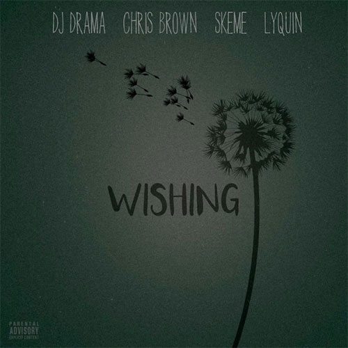 DJ Drama ft. Chris Brown, Skeme & Lyquin - Wishing
