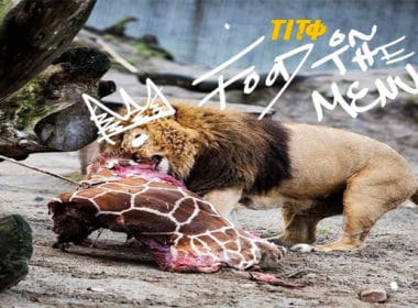 TITO - Food On The Menu