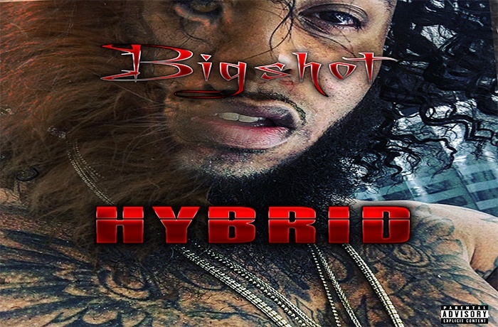 Bigshot Hybrid LP