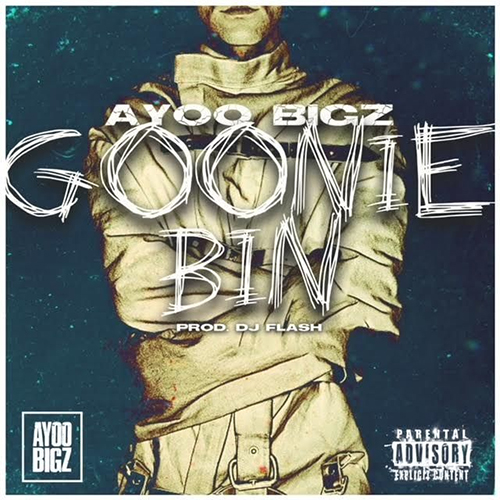 Ayoo Bigz - Goonie Bin