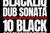 BlackLiq & Dub Sonata - 10 Black Commandments