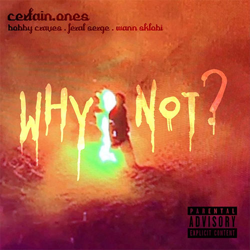 CERTAIN.ONES feat. Bobby Craves & Feral Serge - Why Not?