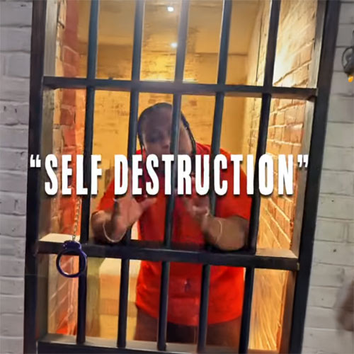 LadyBoss - Self Destruction
