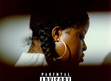 Ché Noir & The Other Guys No Validation album cover art