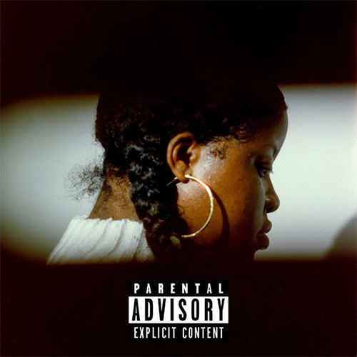 Che Noir & The Other Guys - No Validation (LP)