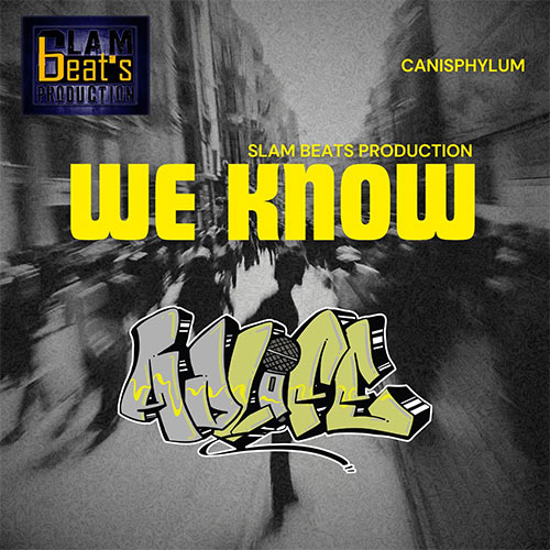 ADLIFE performing “We Know” in studio with mic and headphones