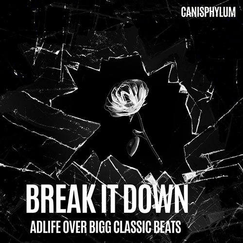 Adlife & Bigg Classic - Breaki It Down