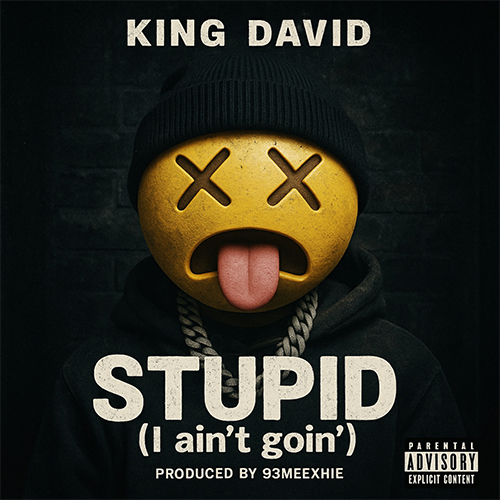 King David - Stupid (I ain't goin)
