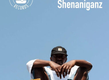Mad Rev - Shenaniganz