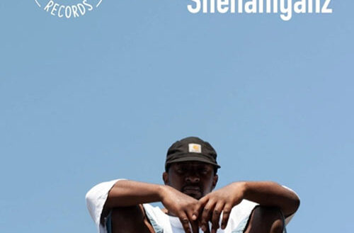 Mad Rev - Shenaniganz