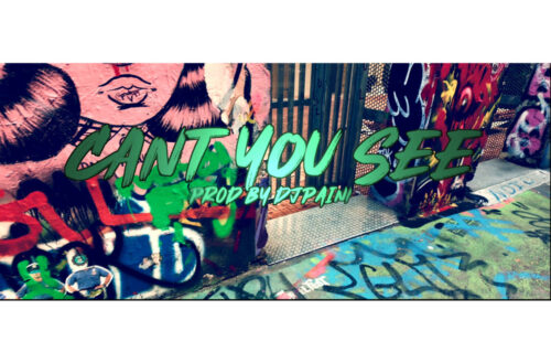 Richpockets - Can’t You See Viseo