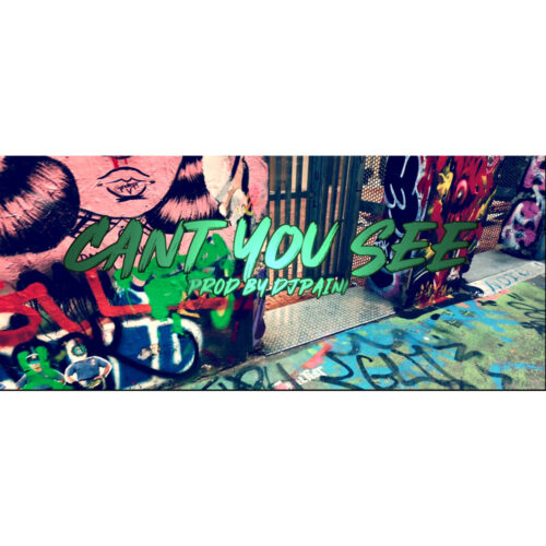 Richpockets - Can’t You See Viseo