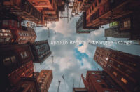 Cover artwork for Apollo Brown's instrumental single "Stranger Things," featuring an upward-looking view between towering city buildings with a cloudy sky centered above, creating an atmospheric and cinematic perspective.