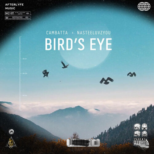 NasteeLuvzYou feat. Cambatta - Birds Eye