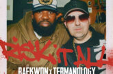 Meeco & DJ Access feat. Termanology & Raekwon - Risk It All