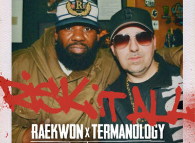 Meeco & DJ Access feat. Termanology & Raekwon - Risk It All