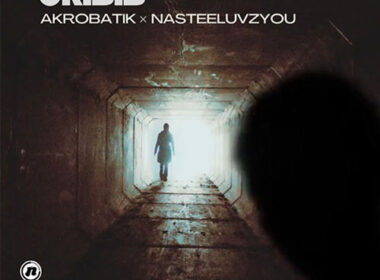 NasteeLuvzYou feat. Akrobatik - Crisis