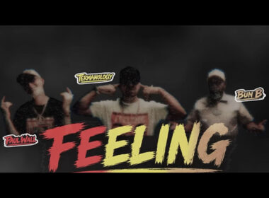Paul Wall & Termanology feat. Bun B. - Feeling Video