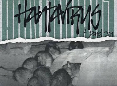 JUNK feat. Daniel Son - Hantavirus