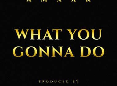 AMXXR & Pete Rock - What You Gonna Do