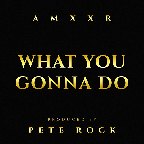 AMXXR & Pete Rock - What You Gonna Do