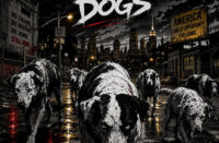 Ben Hedibi & uMaNg "Stray Dogs"